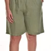 Cut Loose. Walking Short In Solid Linen.